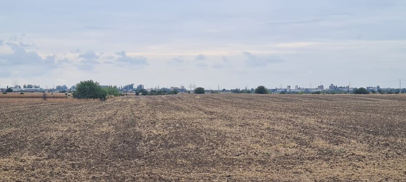 Magurele, Ilfov, depozit Urgent Cargus,